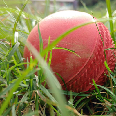 Cricket